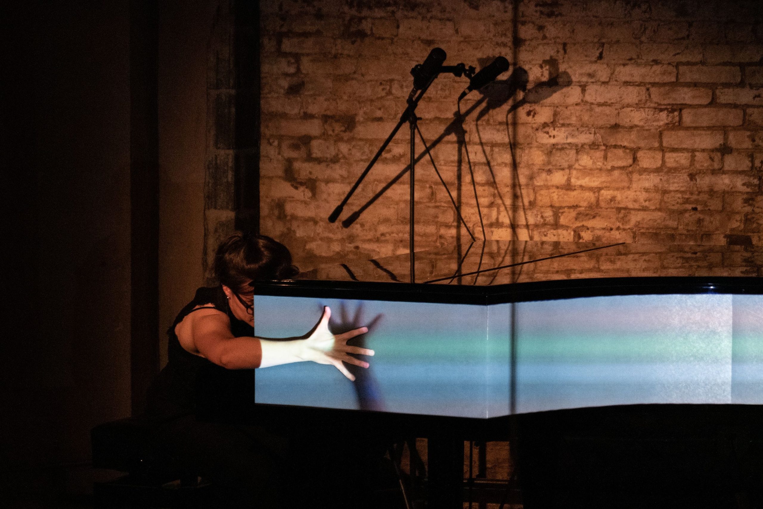Toccata & bruise